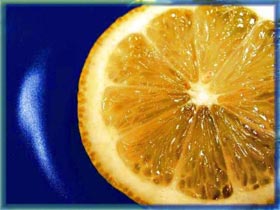 Лимон. фото Rambler Лимон. фото Rambler