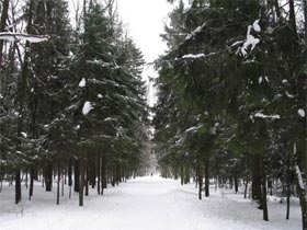 "Лосиный остров". Фото с сайта foto.rambler.ru (c) "Лосиный остров". Фото с сайта foto.rambler.ru (c)