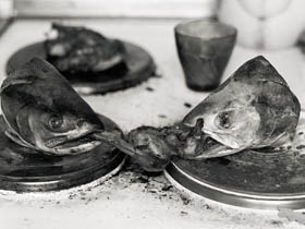 Рыба. Фото с сайта 6Х9.ru Рыба. Фото с сайта 6Х9.ru