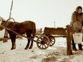 На лошадиной тяге. Фото Игоря Гольдберга для Каспарова.Ru На лошадиной тяге. Фото Игоря Гольдберга для Каспарова.Ru