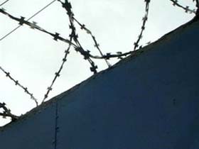 Колония. Фото: с сайта www.rol.org.ua (с) Колония. Фото: с сайта www.rol.org.ua (с)