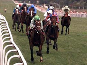 Скачки. Фото: с сайта webpage www.parter.ru