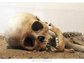 Человеческие останки. photo.trg.ru (с) Человеческие останки. photo.trg.ru (с)