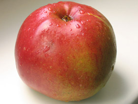 не карельское Яблоко. Фото: fotolife.org (с) не карельское Яблоко. Фото: fotolife.org (с)