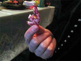 Колбаса. Фото: pe4ivo.narod.ru (с) Колбаса. Фото: pe4ivo.narod.ru (с)