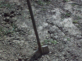 Лопата. Фото: kubanphoto.ru (с) Лопата. Фото: kubanphoto.ru (с)