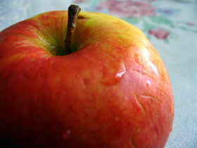 Яблоко. Фото: с сайта fotoplaza.ru