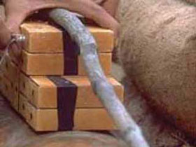 Тротил. Фото: tyumen.rfn.ru Тротил. Фото: tyumen.rfn.ru