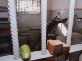 Голодовка в камере. Фото: golossamara.ru Голодовка в камере. Фото: golossamara.ru