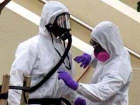 Сибирская язва, фото с сайта news.sarbc.ru Сибирская язва, фото с сайта news.sarbc.ru