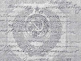 Копия диплома, фото газеты "Фокус" Копия диплома, фото газеты "Фокус"