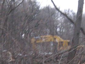 Экскаватор в заповедной роще. Фото: из архива инициативной группы, Каспаров.Ru Экскаватор в заповедной роще. Фото: из архива инициативной группы, Каспаров.Ru