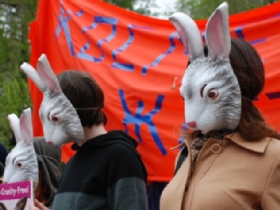 Зоозащитники. Фото: Каспаров.Ru Зоозащитники. Фото: Каспаров.Ru