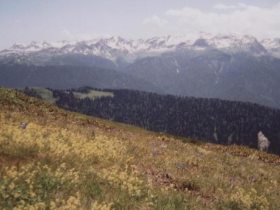 Южный склон хребта Аибга. Фото с сайта forum.nmp4.ru