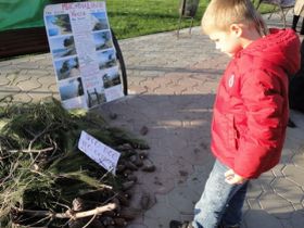 Пикет в Сочи. Фото Светланы Кравченко, Каспаров.Ru Пикет в Сочи. Фото Светланы Кравченко, Каспаров.Ru