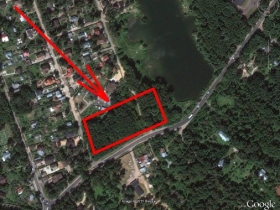 Участкок леса, предназначенный для вырубки. Балашиха Участкок леса, предназначенный для вырубки. Балашиха