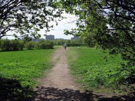 Полюстровский парк. Фото: fotki.yandex.ru Полюстровский парк. Фото: fotki.yandex.ru