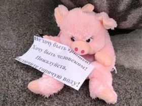 Пикет с поросенком. Фото Марины Садчиковой, Каспаров.Ru Пикет с поросенком. Фото Марины Садчиковой, Каспаров.Ru