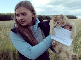 Дольщики запускают котенка в космос. Фото: Однодольщики.Ru Дольщики запускают котенка в космос. Фото: Однодольщики.Ru