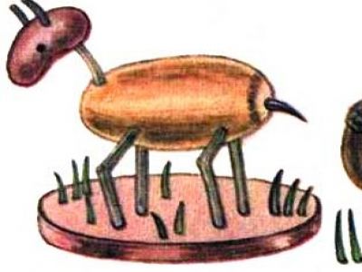 Фото hexrb.mybb.ru Фото hexrb.mybb.ru