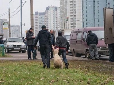 Курбан-байрам. Фото econo.com.ua Курбан-байрам. Фото econo.com.ua