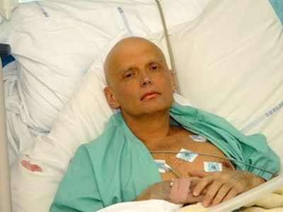 Литвиненко. Фото: newsland.ru