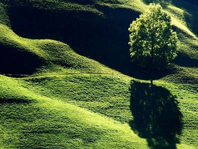 Парк (visit-swiss.ru)