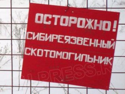 Скотомогильник. Фото: duma72.ru Скотомогильник. Фото: duma72.ru