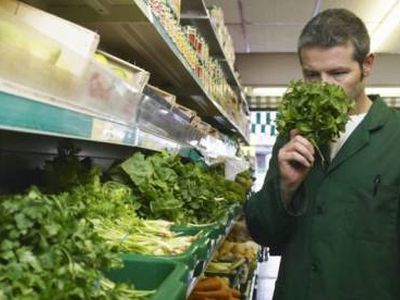 Ранние овощи. Фото: obozrevatel.com Ранние овощи. Фото: obozrevatel.com