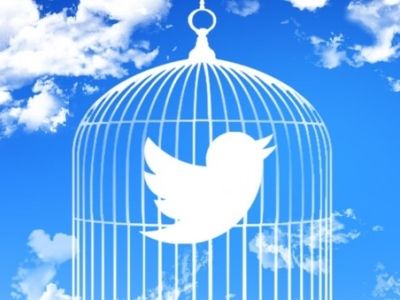 Птичка в клетке. Фото: rosinform.ru Птичка в клетке. Фото: rosinform.ru