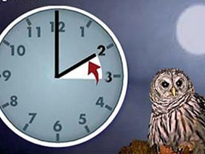 Зимнее время Зимнее время