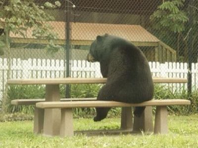 Плакат "Санкции". Фото: pikabu.ru Плакат "Санкции". Фото: pikabu.ru