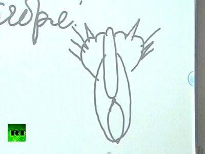 "Кошка, вид сзади". Рисунок президента. Источник - http://std3.ru/ "Кошка, вид сзади". Рисунок президента. Источник - http://std3.ru/