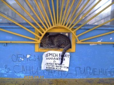 Обменный пункт. Фото: fishki.net Обменный пункт. Фото: fishki.net