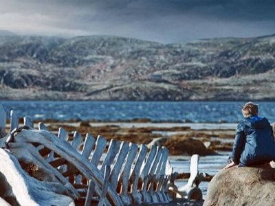 Кадр из фильма "Левиафан". Фото: metronews.ru Кадр из фильма "Левиафан". Фото: metronews.ru