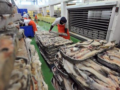 Рыбный завод в Териберке. Фото: kommersant.ru Рыбный завод в Териберке. Фото: kommersant.ru