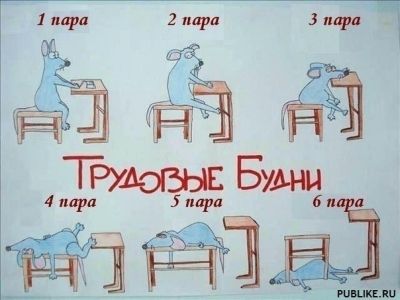 Трудовые будни. Фото: publike.ru Трудовые будни. Фото: publike.ru