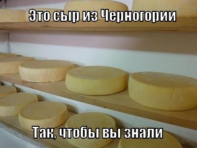Черногорские сыры Черногорские сыры