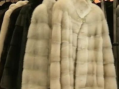 Шубы Фото: www.gtrkoka.ru Шубы Фото: www.gtrkoka.ru
