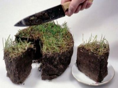 Участок земли. Фото: vestiprim.ru Участок земли. Фото: vestiprim.ru