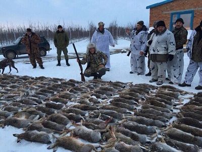 "Царская охота" в Краснодарском крае, янв. 2015. Источник - www.novayagazeta.ru/inquests/71251.html "Царская охота" в Краснодарском крае, янв. 2015. Источник - www.novayagazeta.ru/inquests/71251.html