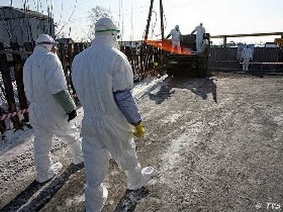 Карантин. Фото: img-2007-02.photosight.ru Карантин. Фото: img-2007-02.photosight.ru