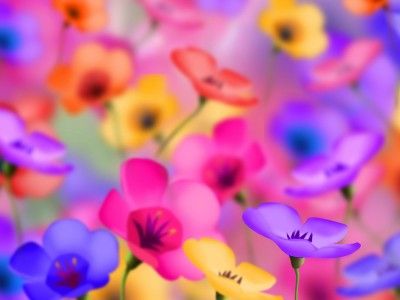 Цветы. Фото: loveis-cvety.ru Цветы. Фото: loveis-cvety.ru