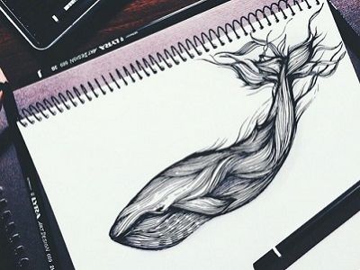 Кит - рисунок в блокноте. Источник - weheartit.com Кит - рисунок в блокноте. Источник - weheartit.com