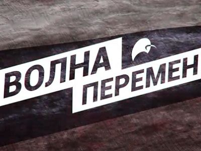 Сайт ПАРНАСа "Волна перемен". Фото: volna.parnasparty.ru Сайт ПАРНАСа "Волна перемен". Фото: volna.parnasparty.ru