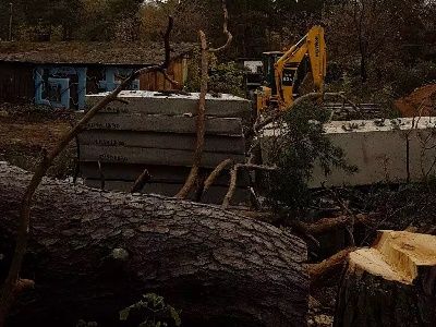 Вырубка Замоскворецкого парка. Фото: stroiky.net Вырубка Замоскворецкого парка. Фото: stroiky.net