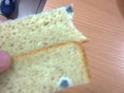 Хлеб с плесенью. Фото: zona.media Хлеб с плесенью. Фото: zona.media