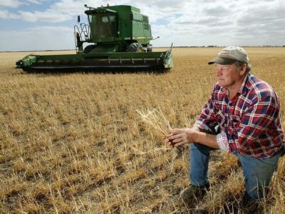 Кредит аграрию. Фото: infobizmag.ru Кредит аграрию. Фото: infobizmag.ru