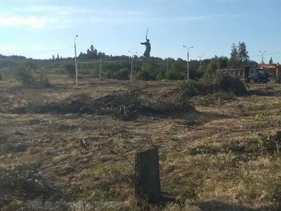 Вырубленный парк вдов у Мамаева кургана. Фото: "Блокнот Волгограда" Вырубленный парк вдов у Мамаева кургана. Фото: "Блокнот Волгограда"