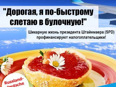 Агитация "Альтернативы" в Германии. Автор: Алина Плитман Агитация "Альтернативы" в Германии. Автор: Алина Плитман